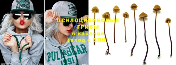 эйфоретик Кулебаки